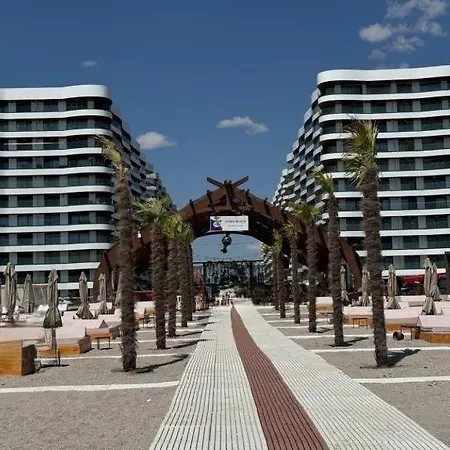 Matias 1 Casa Del Mar Mamaia